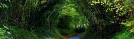 meditation mindfulness training sydney